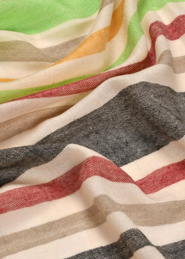 Janavi Stripes Border In Cashmere