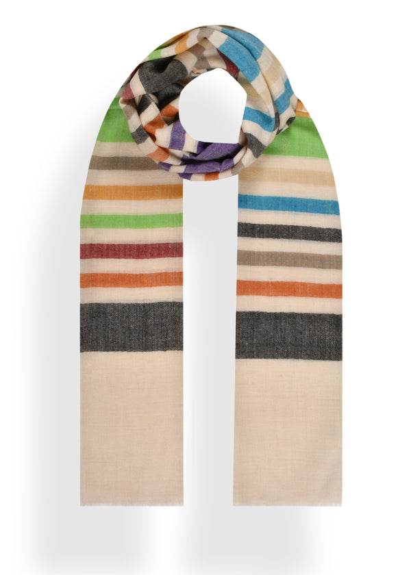 janavi Stripes Border in Cashmere