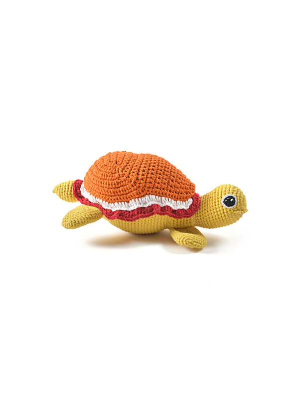 Janavi Turtle