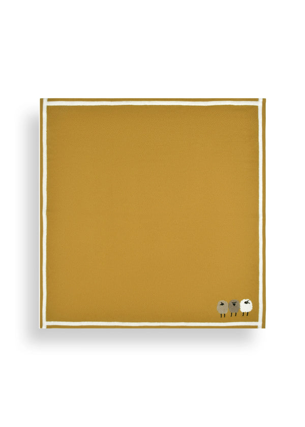 janavi Tex Knit Double Border Baby Blanket in Cashmere