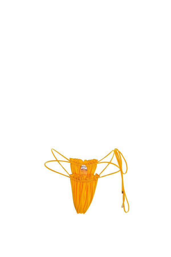 Janthee Berlin Amy Bottom - Elixia