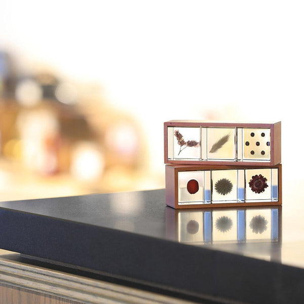 Japan Best Botanical Acrylic Cube