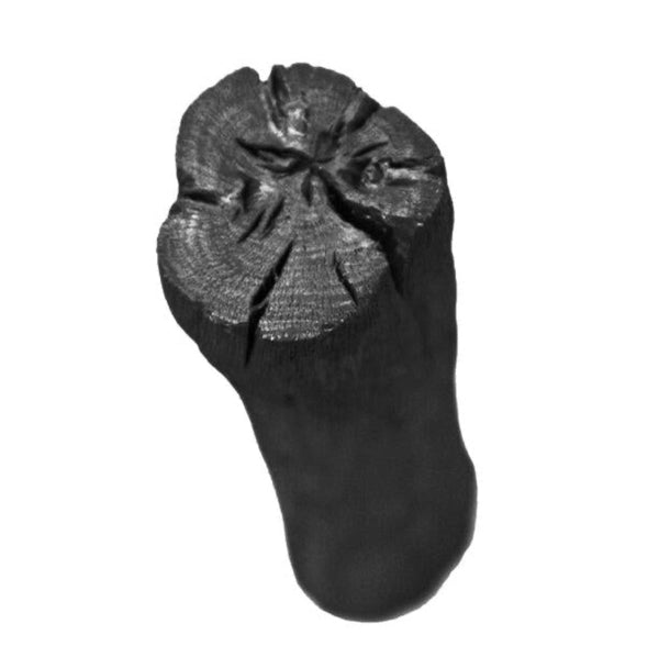 Japan Best Charcoal Stick Water Purifying Stick