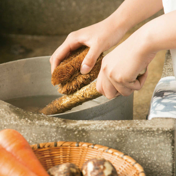 Japan Best Coconut Palm Tawashi Brush