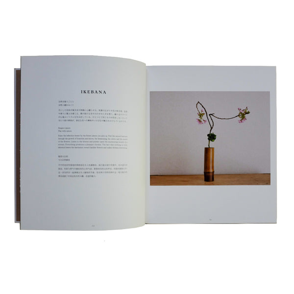 Japan Best Eyes Of Ikebana