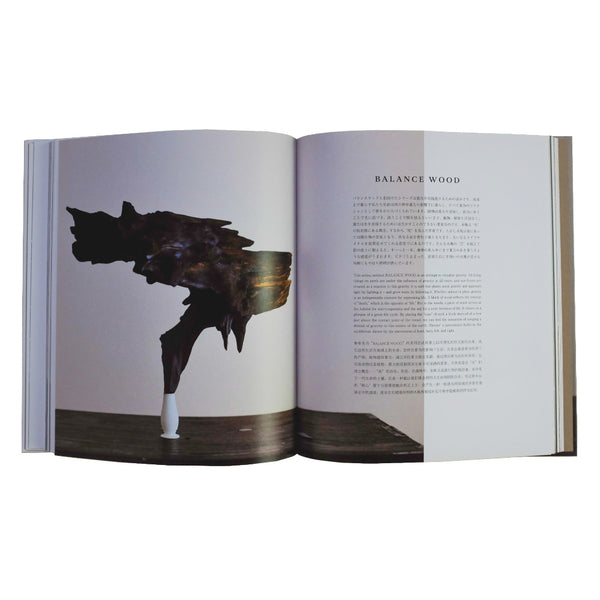 Japan Best Eyes Of Ikebana