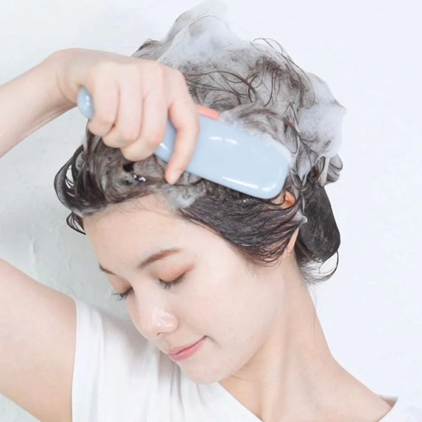 Japan Best Hair & Scalp Brush