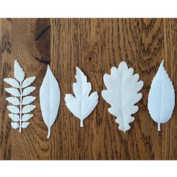 Japan Best Hako Summer - 5 Leaves