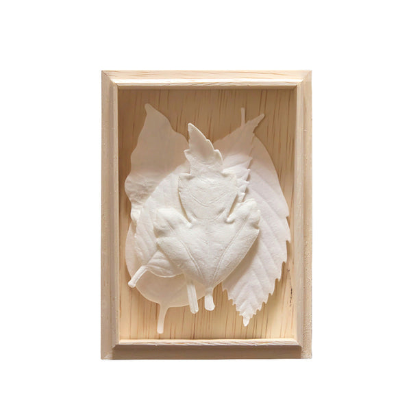 japan best Hako White - 5 leaves