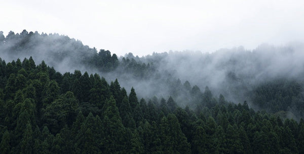 Japan Best Kame Mannen Optical 52M ATG