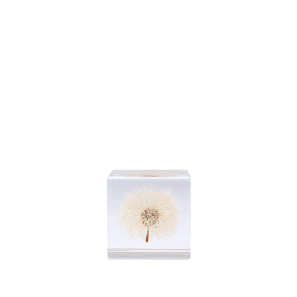japan best Large Acrylic Dandelion Cube