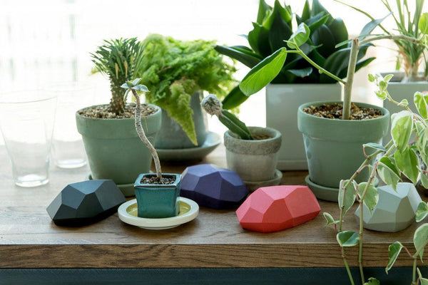 Japan Best "Stone" Water Sponge