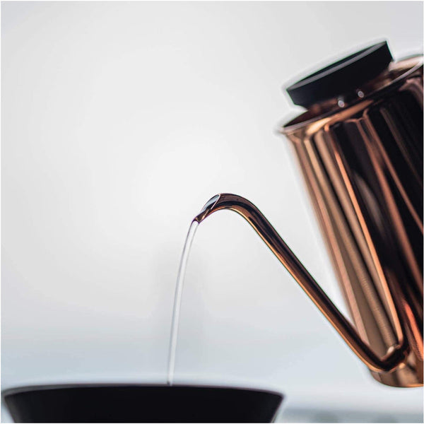 Japan Best Kettle With Thermometer Special Pour For Drip Leather Handle