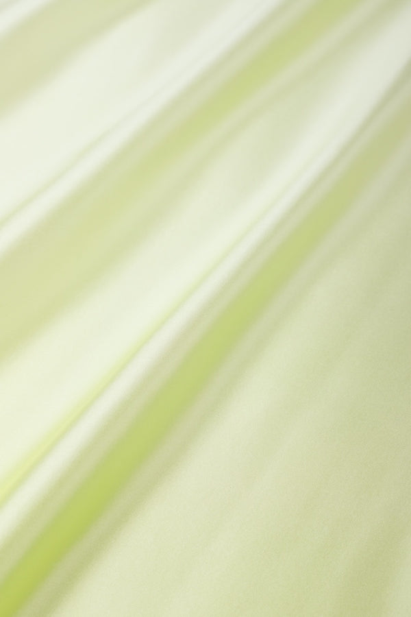 Marie France Van Damme Silk Satin Ombre Boubou Caftan Lime Ombre