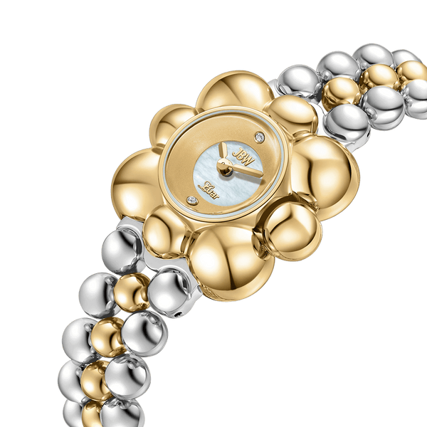 Jbw Atmosphere J6405c Two Tone Watch