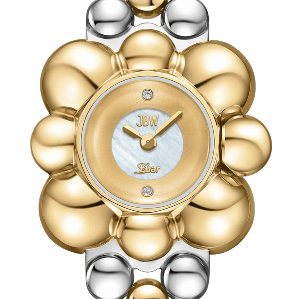 Jbw Atmosphere J6405c Two Tone Watch