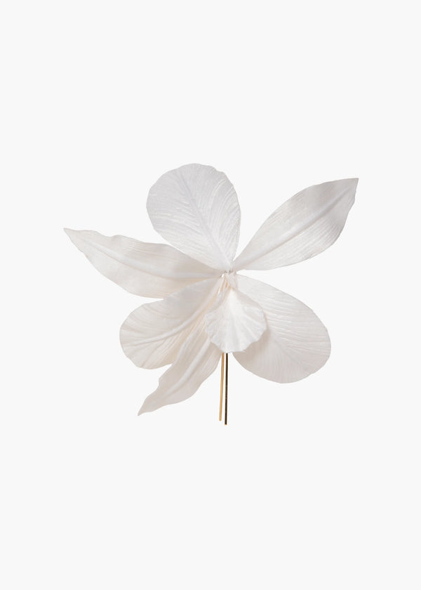 jennifer behr Orchid Harpin Cream