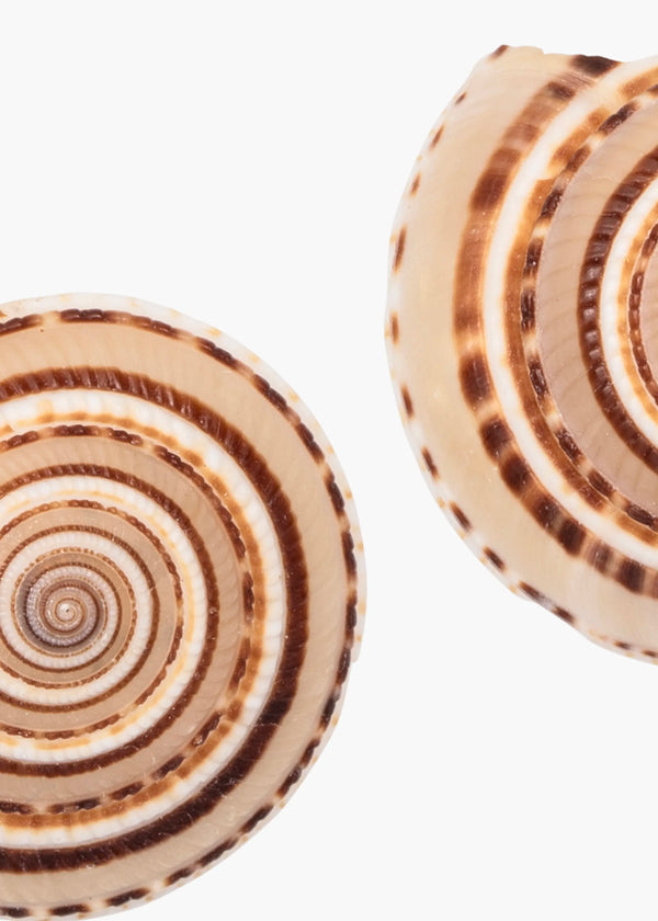 Jennifer Behr Perrin Earrings Sand