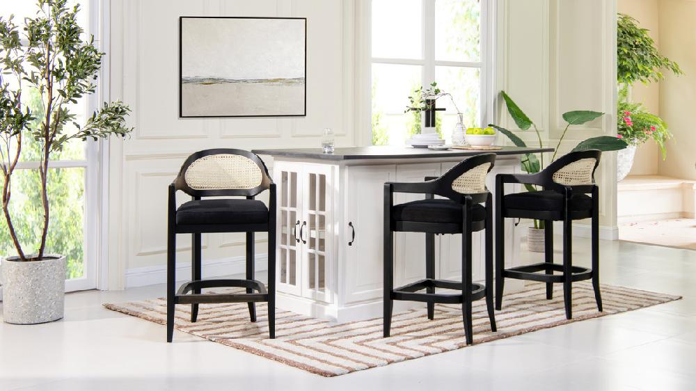 Jennifer Taylor Home Americana Mid-Century Modern 26" Cane Back Counter Stool Jet Black