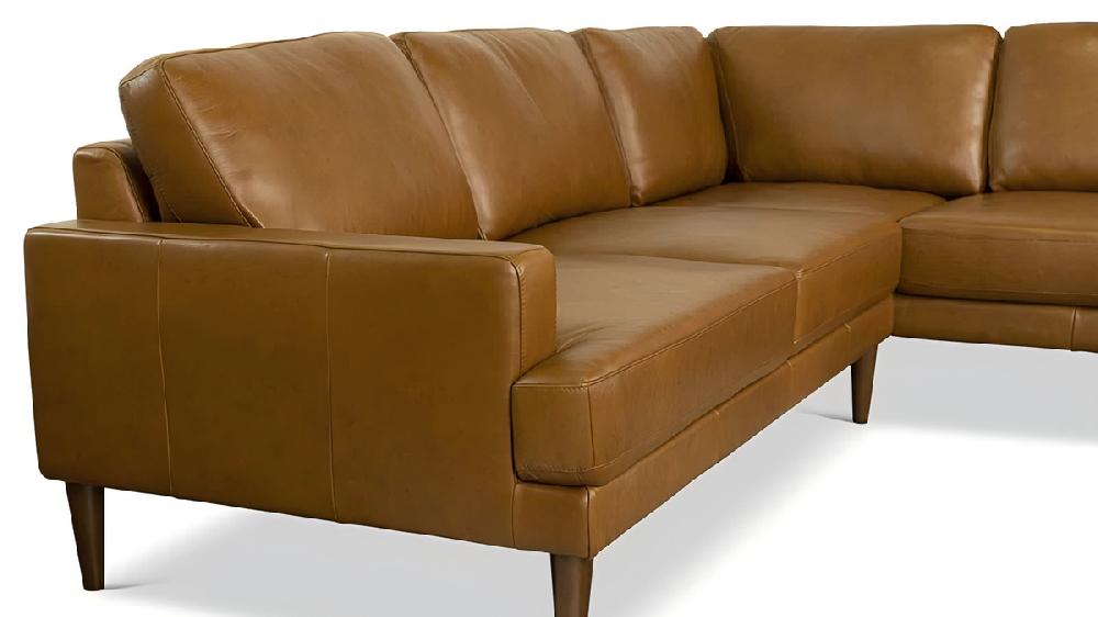 Jennifer Taylor Home Callahan 99.4" Wide Genuine Leather Right-Facing Sectional Sofa