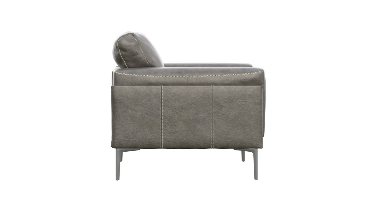 Jennifer Taylor Home Orin 44" Genuine Leather Armchair With Metal Legs