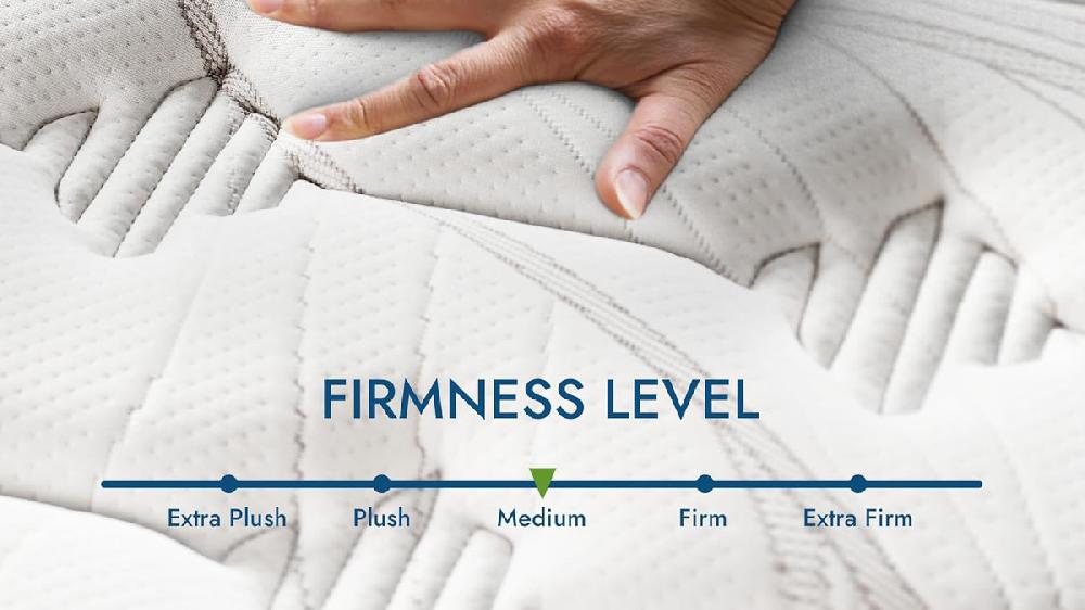 Jennifer Taylor Home Sayre Sleep 12" Queen Hybrid Mattress