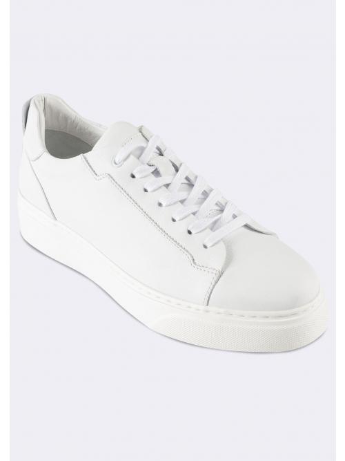 jeordie's Casual Shoes