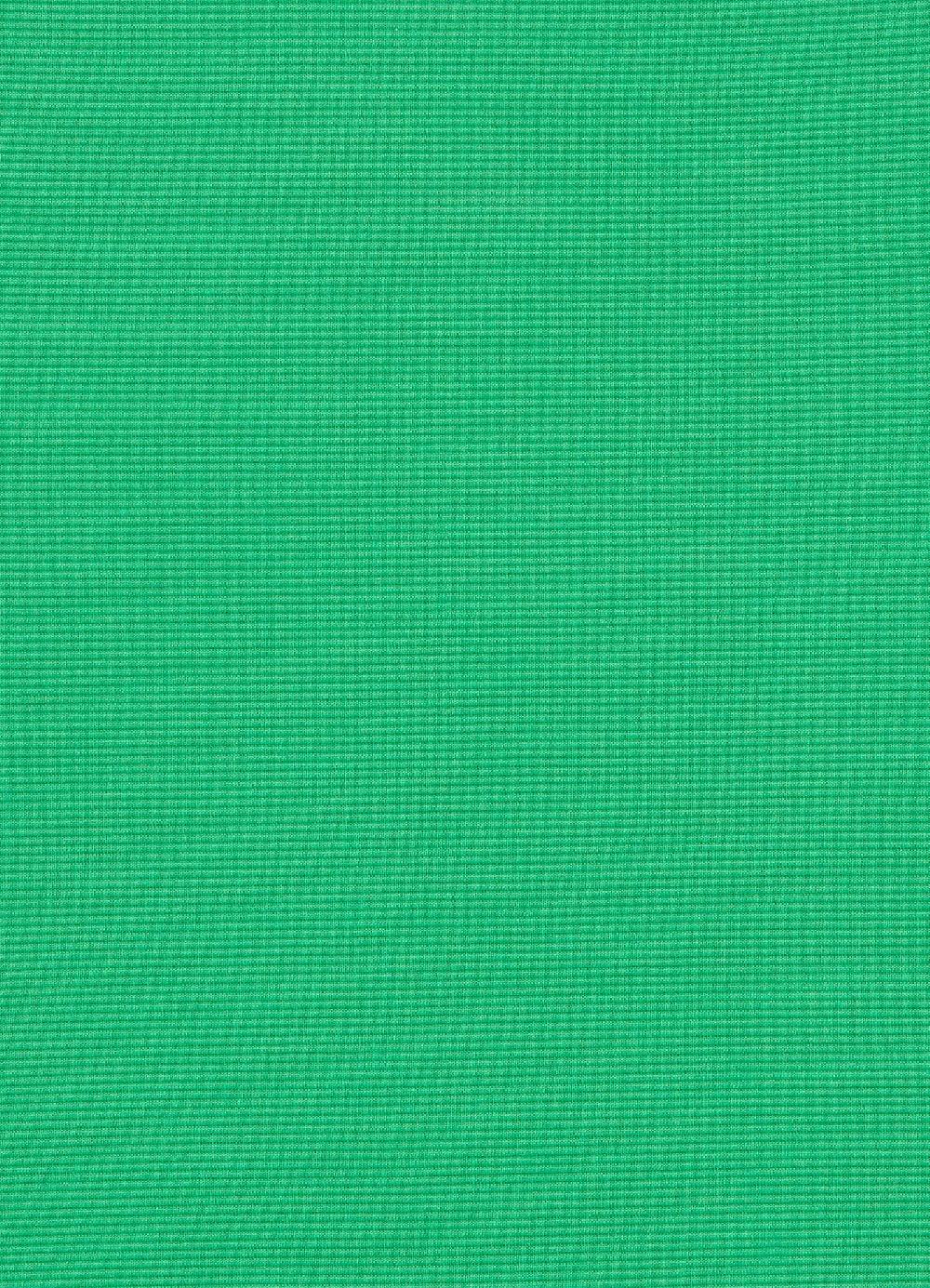 Jets Australia Isla Rib One Shoulder One Piece - Green