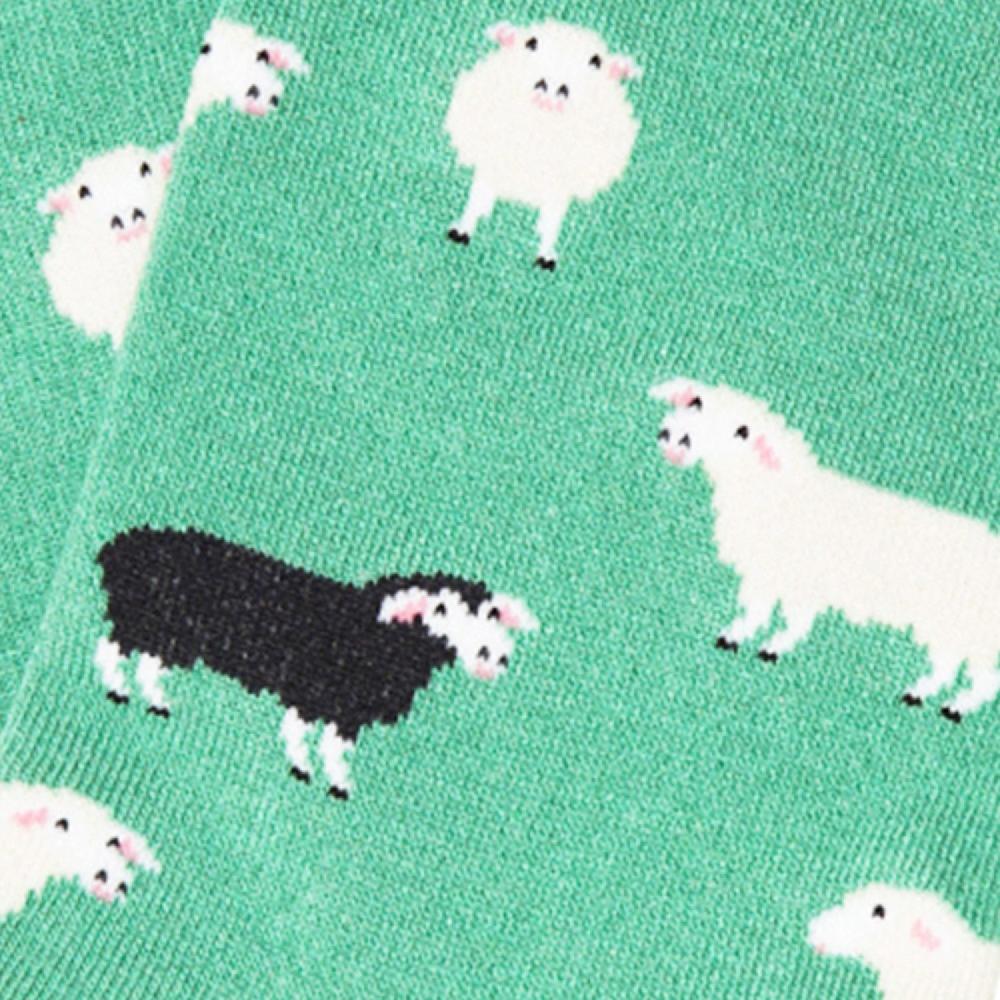 Jimmy Lion Ankle Socks For Men & Women Ankle Black Sheep