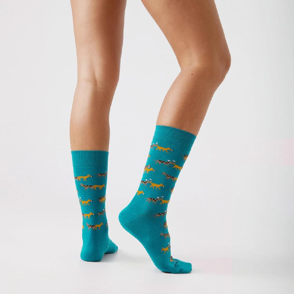 Jimmy Lion Fun Socks Puppy Love Love Collection – Jimmy Lion