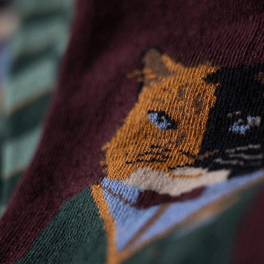 Jimmy Lion Animal Socks Gentle Cat