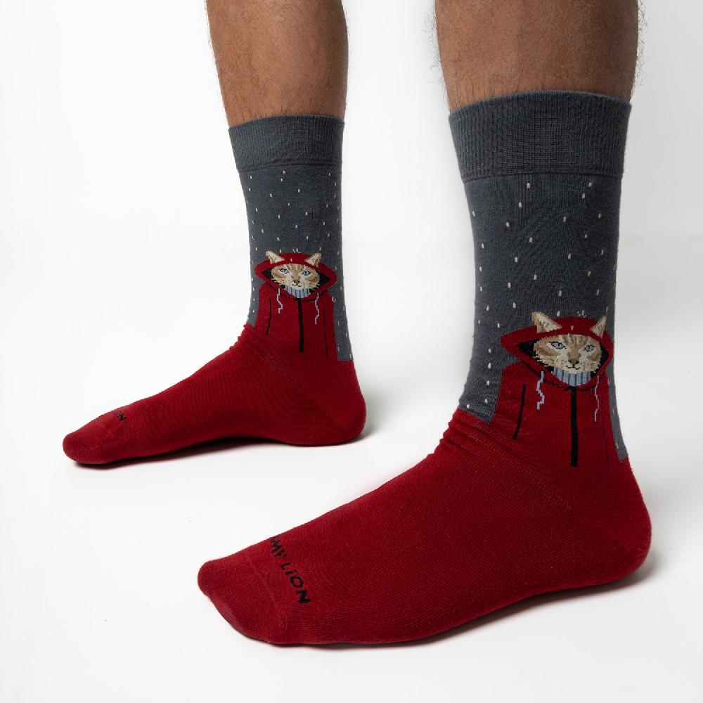 Jimmy Lion Animal Socks Raining Cat