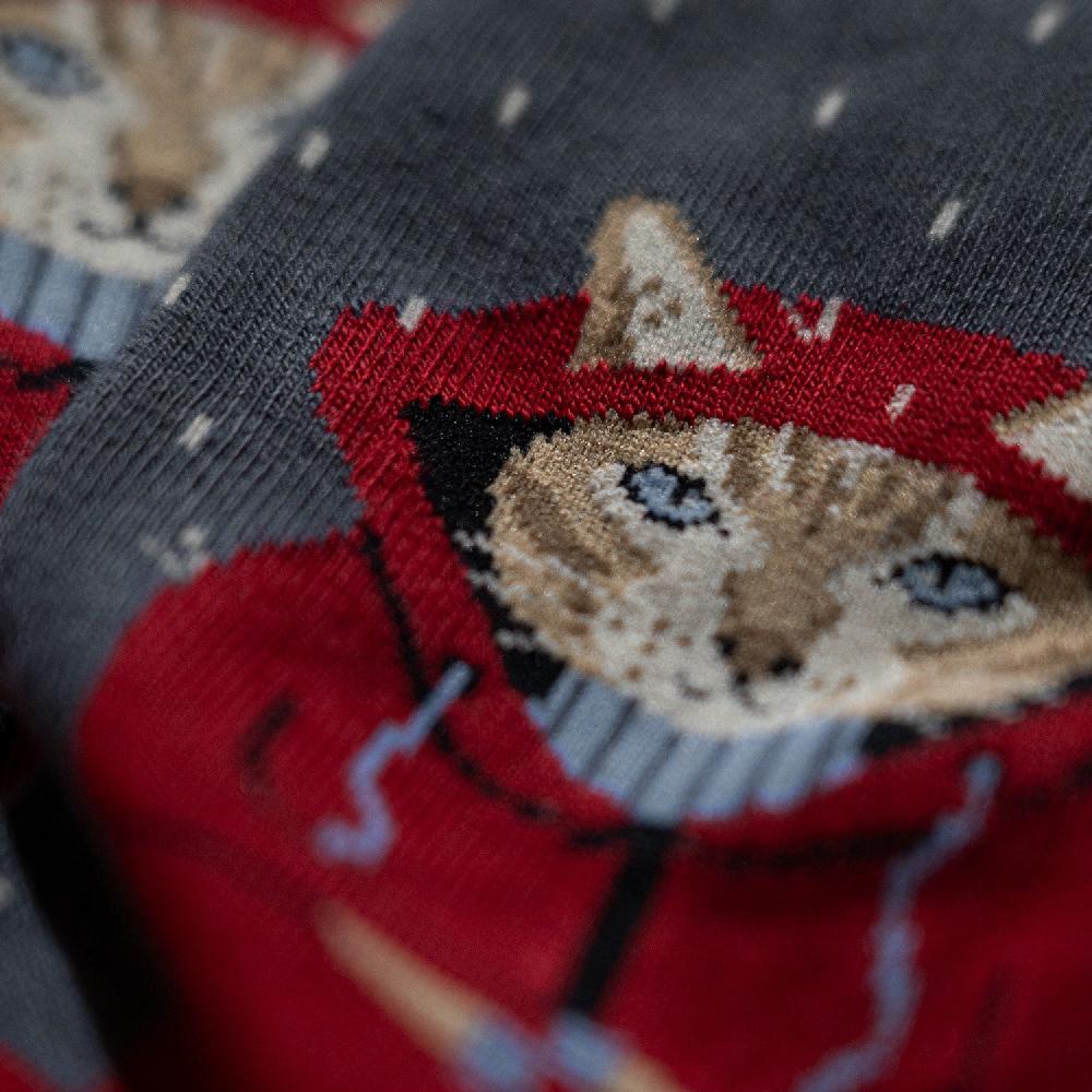 Jimmy Lion Animal Socks Raining Cat