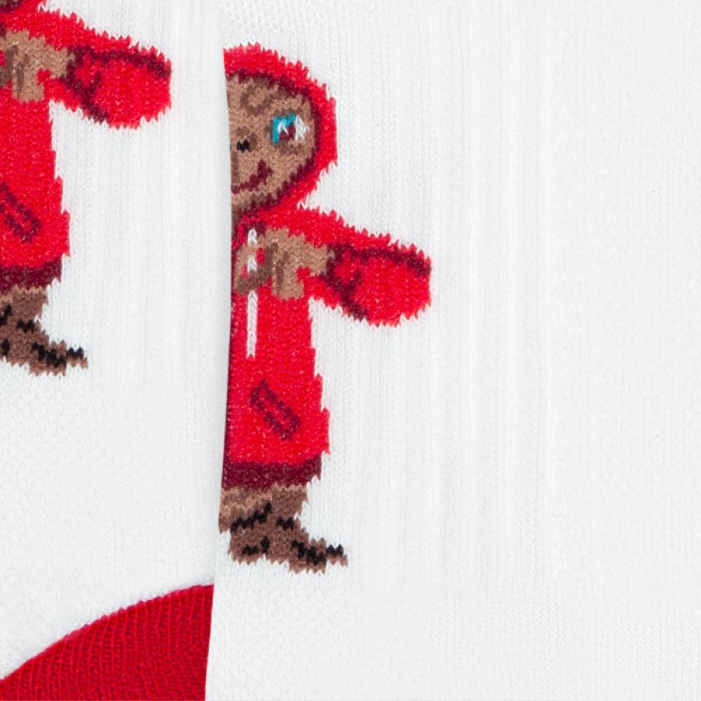 Jimmy Lion Ankle Athletic ET Socks Design