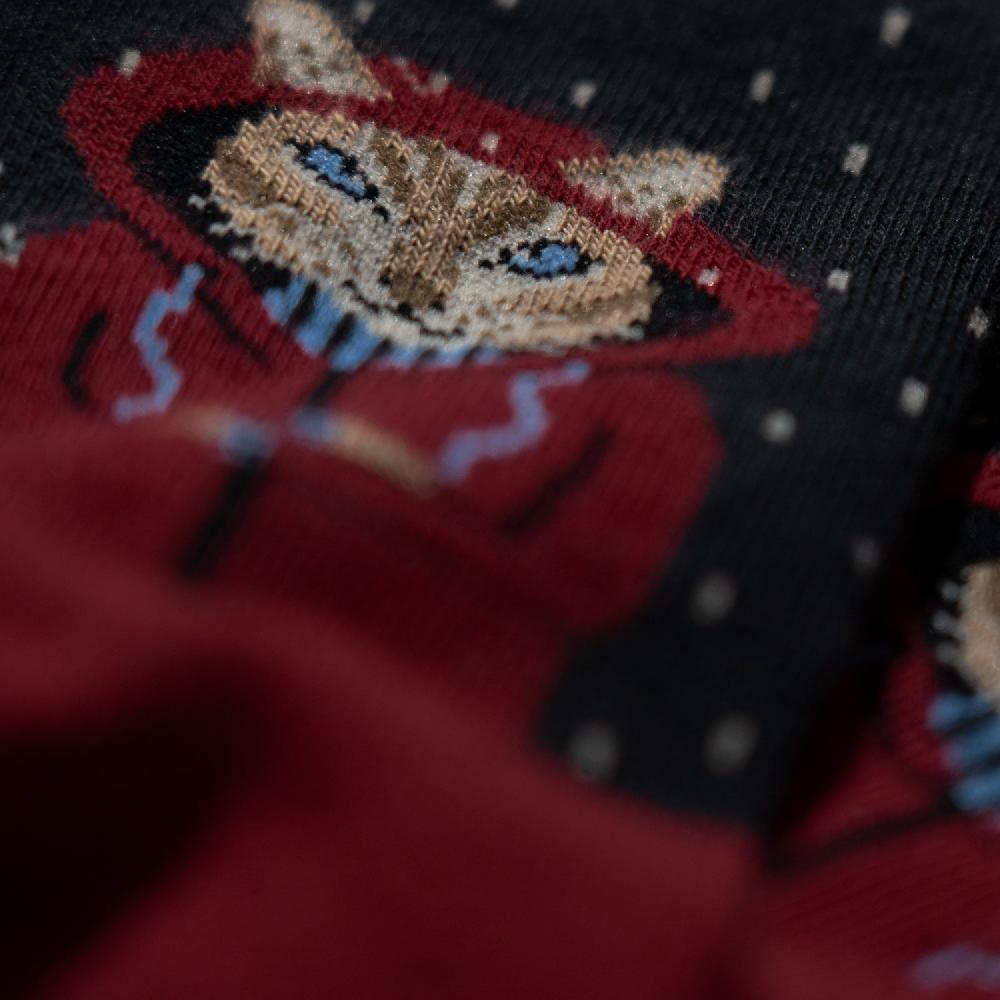 Jimmy Lion Kids Socks Kids Raining Cat