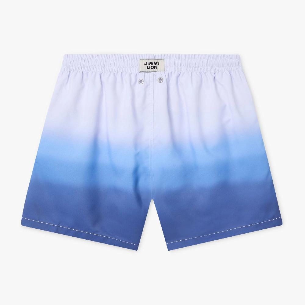 Jimmy Lion Men's Swim Shorts Horizon Swim Shorts