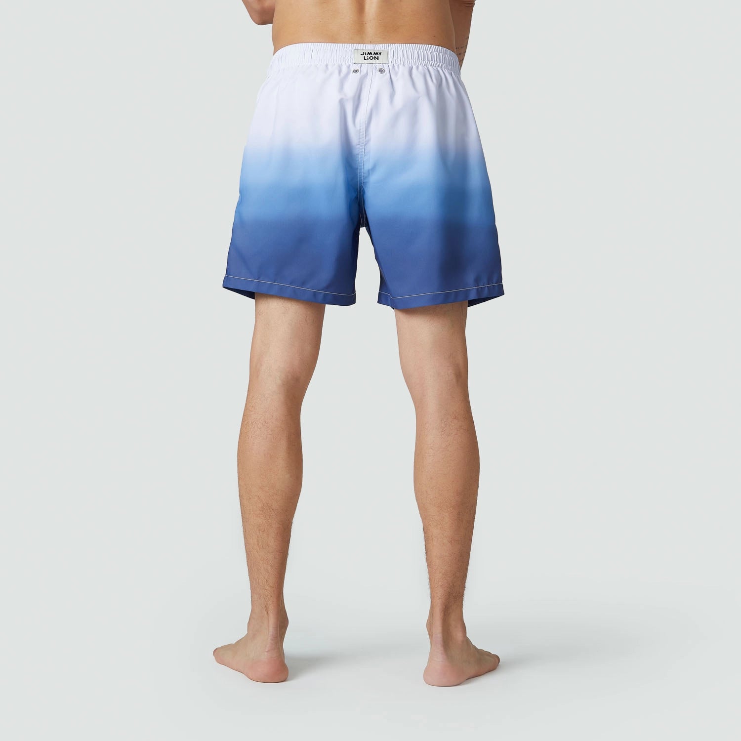Jimmy Lion Men's Swim Shorts Horizon Swim Shorts