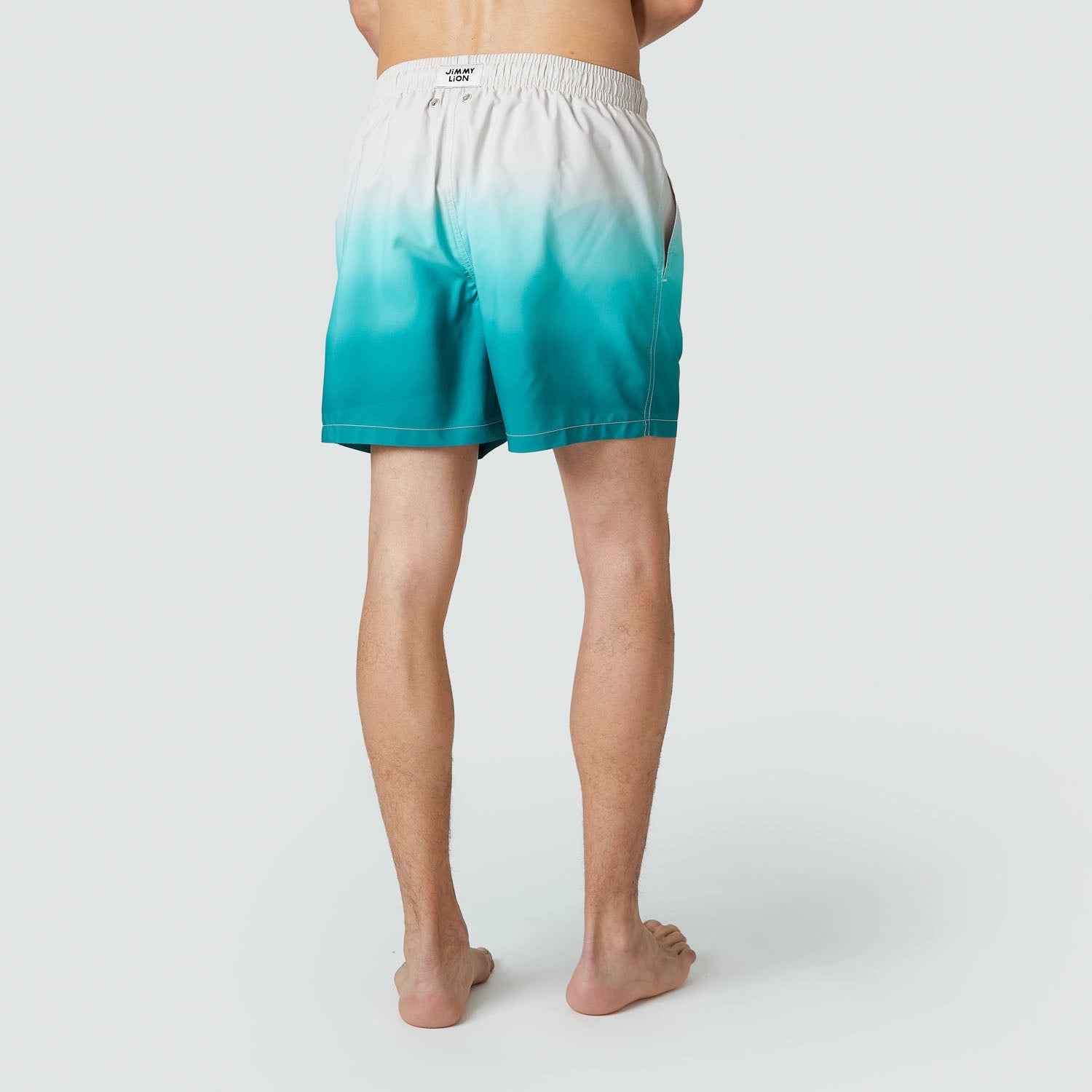 Jimmy Lion Men's Swim Shorts Horizon Swim Shorts