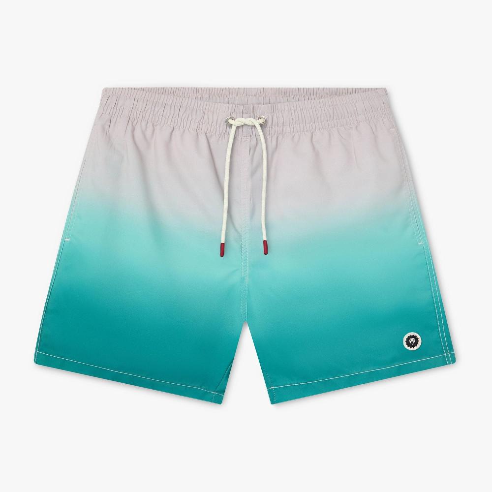 jimmy lion Men's Swim Shorts Horizon Swim Shorts