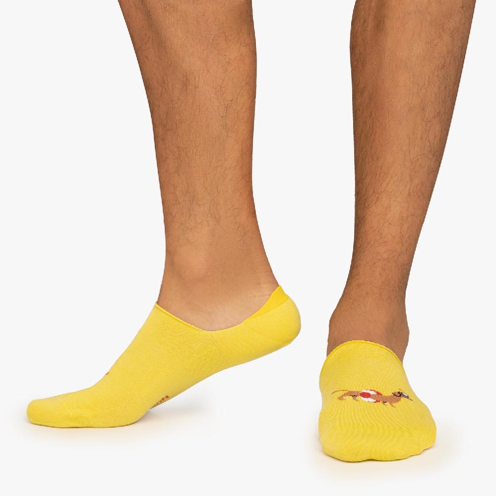 Jimmy Lion No Show Socks Lifeguard Dog