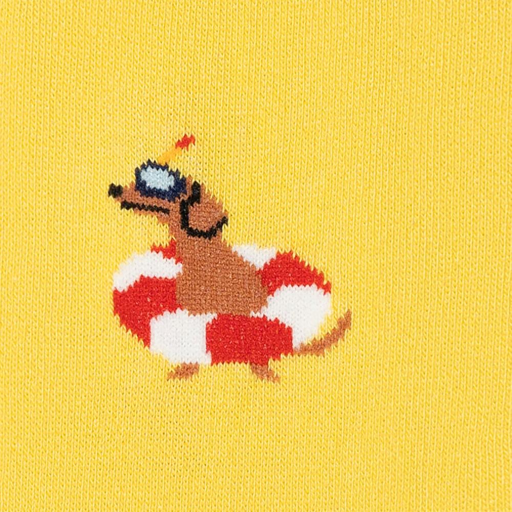 Jimmy Lion No Show Socks Lifeguard Dog