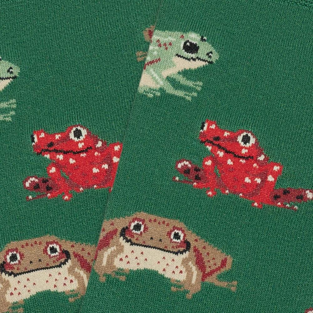 Jimmy Lion Organic Cotton Socks Frogs