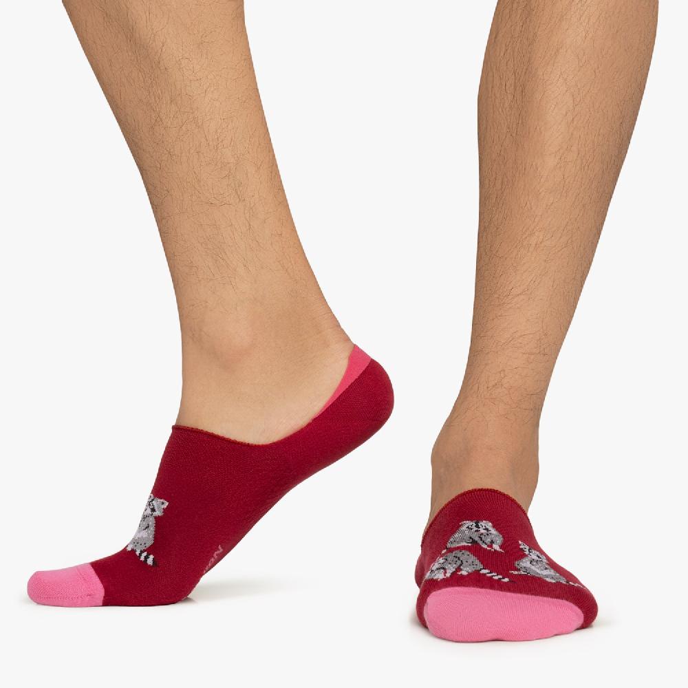 Jimmy Lion Racoons No-sow Socks For Men And Women