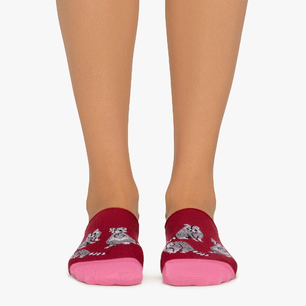 Jimmy Lion Racoons No-sow Socks For Men And Women