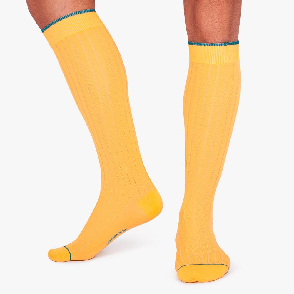 Jimmy Lion Ribbed Knee High Socks