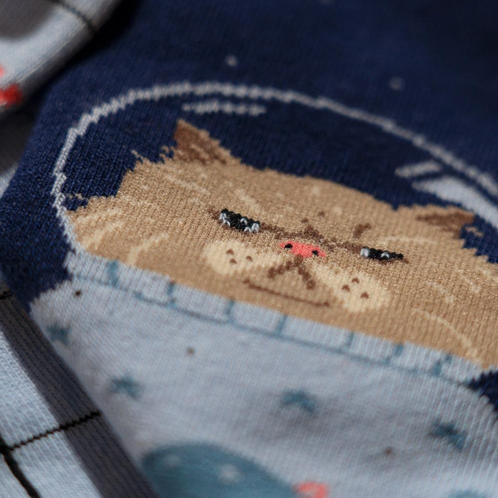 Jimmy Lion Unisex Cat Socks Space Cat