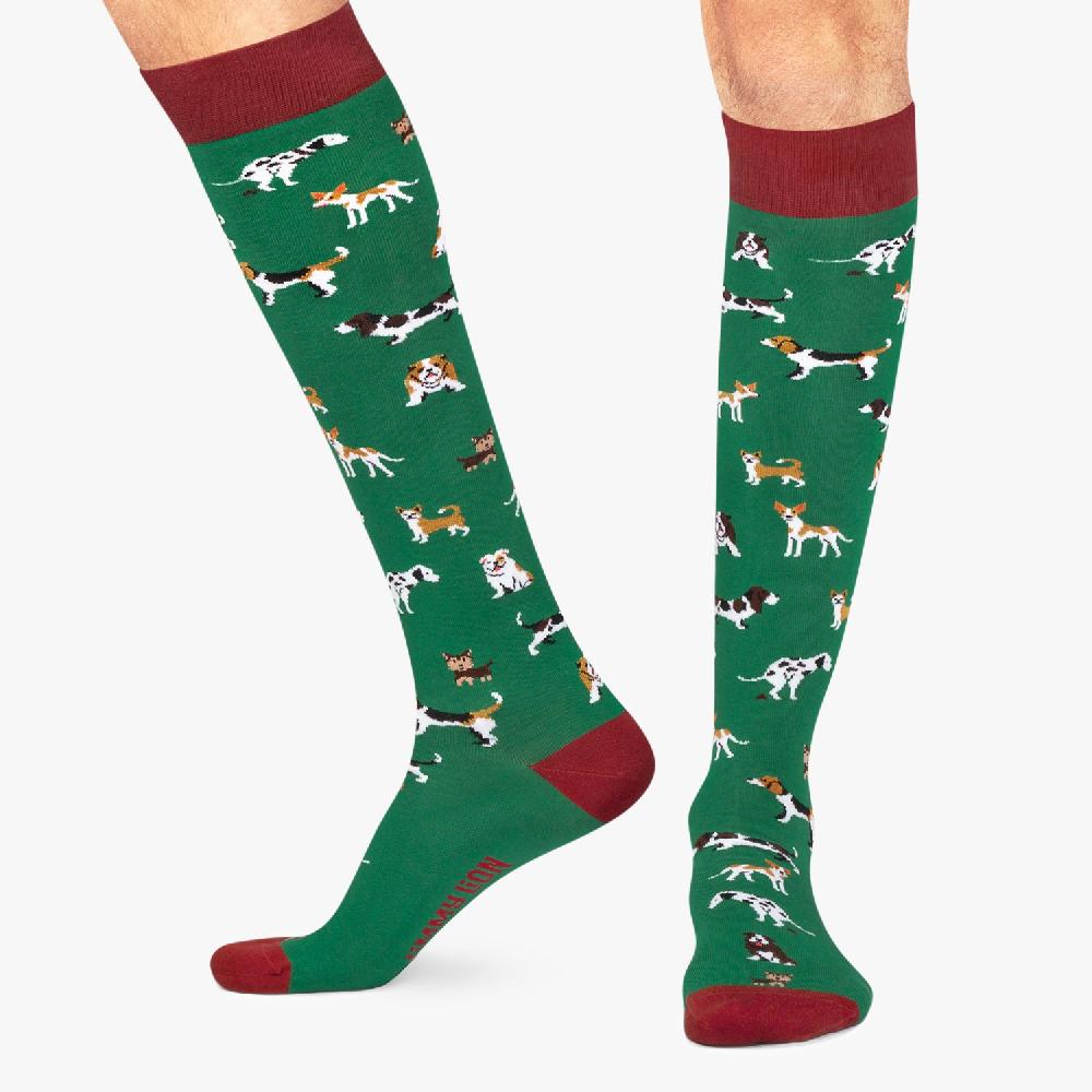 Jimmy Lion Knee High Socks For Men And Women KH Dogs Design L Jimmy Lion