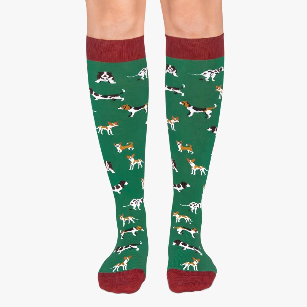 Jimmy Lion Knee High Socks For Men And Women KH Dogs Design L Jimmy Lion