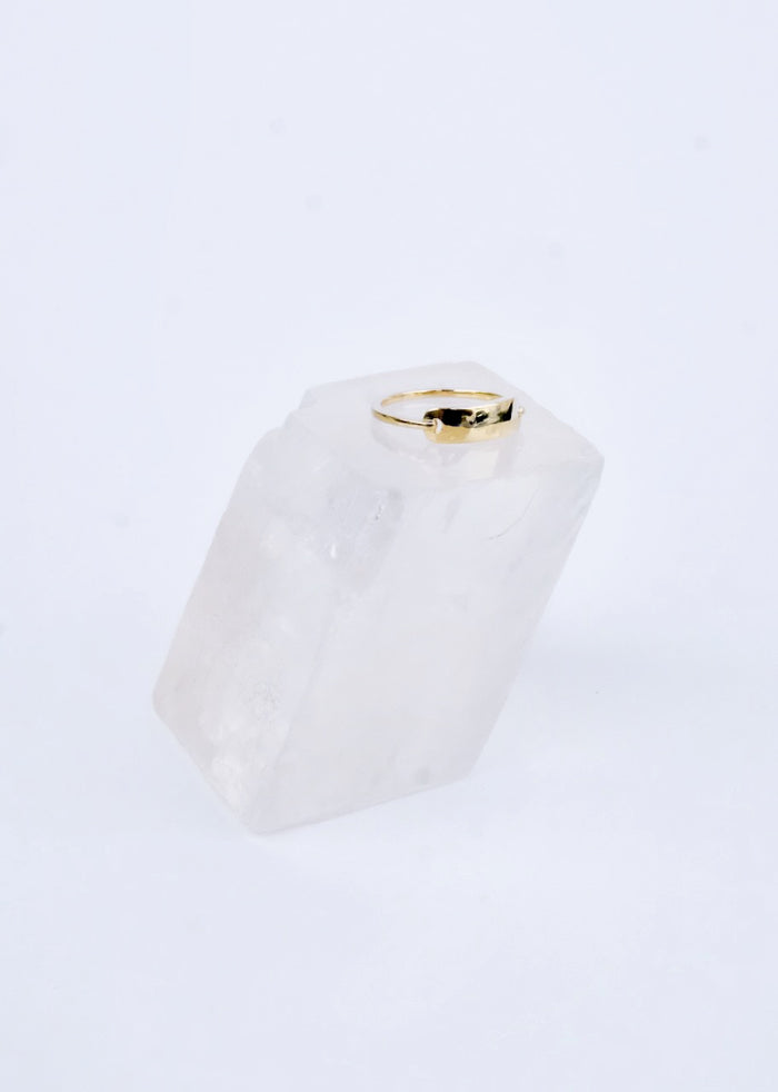 Jnb Gold Buckel Ring