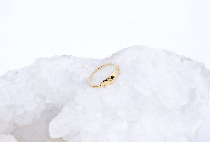 jnb Gold Buckel Ring